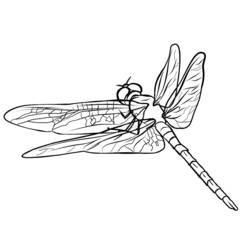 着色页: 蜻蜓 (动物) #9908 - 免费可打印着色页