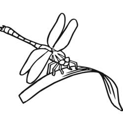 着色页: 蜻蜓 (动物) #9909 - 免费可打印着色页