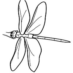 着色页: 蜻蜓 (动物) #9915 - 免费可打印着色页