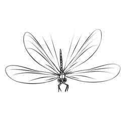 着色页: 蜻蜓 (动物) #9931 - 免费可打印着色页