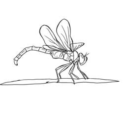 着色页: 蜻蜓 (动物) #9934 - 免费可打印着色页