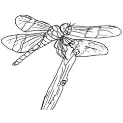 着色页: 蜻蜓 (动物) #9966 - 免费可打印着色页