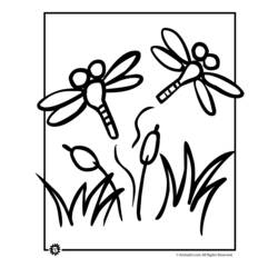 着色页: 蜻蜓 (动物) #9988 - 免费可打印着色页