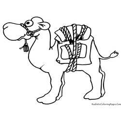 着色页: 单峰骆驼 (动物) #5906 - 免费可打印着色页