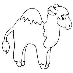 着色页: 单峰骆驼 (动物) #5915 - 免费可打印着色页