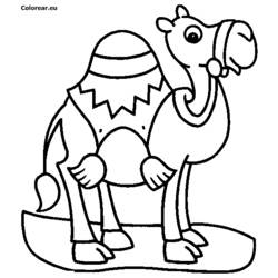 着色页: 单峰骆驼 (动物) #5916 - 免费可打印着色页