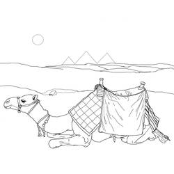 着色页: 单峰骆驼 (动物) #5917 - 免费可打印着色页