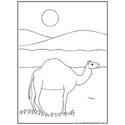 着色页: 单峰骆驼 (动物) #5931 - 免费可打印着色页