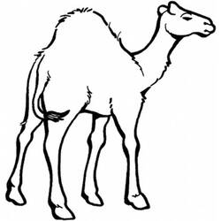 着色页: 单峰骆驼 (动物) #5935 - 免费可打印着色页