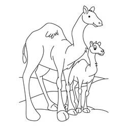 着色页: 单峰骆驼 (动物) #5940 - 免费可打印着色页