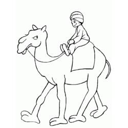 着色页: 单峰骆驼 (动物) #5943 - 免费可打印着色页