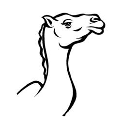 着色页: 单峰骆驼 (动物) #5955 - 免费可打印着色页