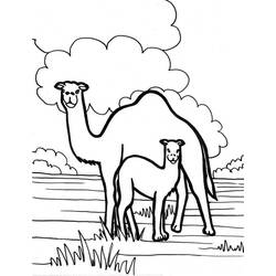 着色页: 单峰骆驼 (动物) #5968 - 免费可打印着色页