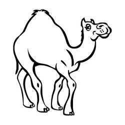 着色页: 单峰骆驼 (动物) #5973 - 免费可打印着色页