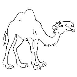 着色页: 单峰骆驼 (动物) #5981 - 免费可打印着色页