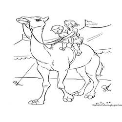 着色页: 单峰骆驼 (动物) #5994 - 免费可打印着色页