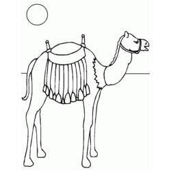 着色页: 单峰骆驼 (动物) #6021 - 免费可打印着色页