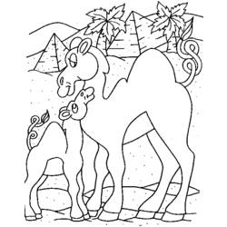 着色页: 单峰骆驼 (动物) #6037 - 免费可打印着色页