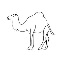 着色页: 单峰骆驼 (动物) #6045 - 免费可打印着色页