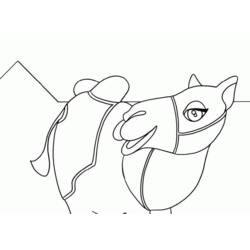 着色页: 单峰骆驼 (动物) #6049 - 免费可打印着色页