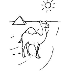 着色页: 单峰骆驼 (动物) #6059 - 免费可打印着色页