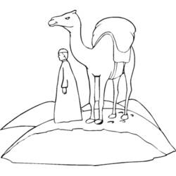 着色页: 单峰骆驼 (动物) #6070 - 免费可打印着色页