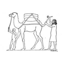 着色页: 单峰骆驼 (动物) #6072 - 免费可打印着色页