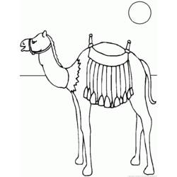 着色页: 单峰骆驼 (动物) #6073 - 免费可打印着色页