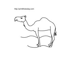着色页: 单峰骆驼 (动物) #6076 - 免费可打印着色页