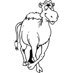 着色页: 单峰骆驼 (动物) #6077 - 免费可打印着色页