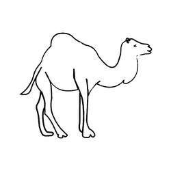 着色页: 单峰骆驼 (动物) #6079 - 免费可打印着色页