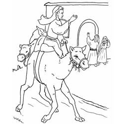 着色页: 单峰骆驼 (动物) #6081 - 免费可打印着色页