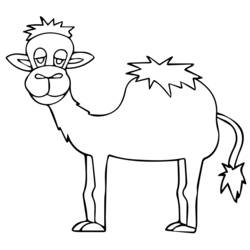 着色页: 单峰骆驼 (动物) #6093 - 免费可打印着色页