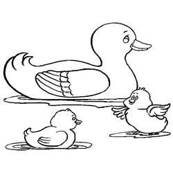 着色页: 鸭子 (动物) #1445 - 免费可打印着色页