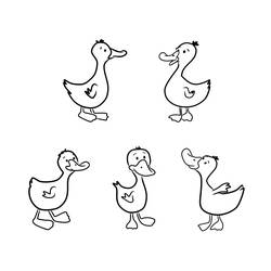 着色页: 鸭子 (动物) #1446 - 免费可打印着色页