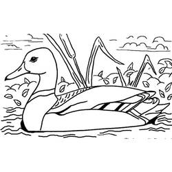 着色页: 鸭子 (动物) #1449 - 免费可打印着色页