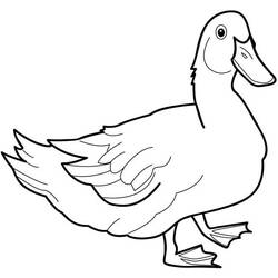 着色页: 鸭子 (动物) #1452 - 免费可打印着色页