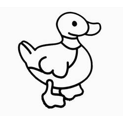 着色页: 鸭子 (动物) #1464 - 免费可打印着色页