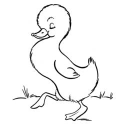 着色页: 鸭子 (动物) #1479 - 免费可打印着色页
