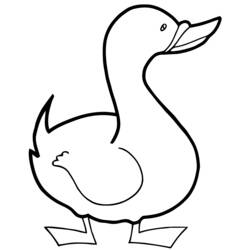 着色页: 鸭子 (动物) #1484 - 免费可打印着色页