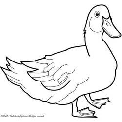 着色页: 鸭子 (动物) #1490 - 免费可打印着色页