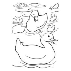 着色页: 鸭子 (动物) #1494 - 免费可打印着色页