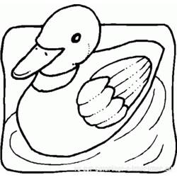 着色页: 鸭子 (动物) #1508 - 免费可打印着色页