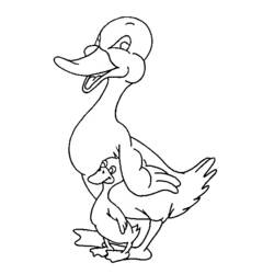 着色页: 鸭子 (动物) #1510 - 免费可打印着色页