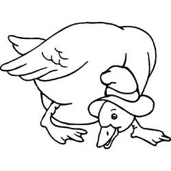 着色页: 鸭子 (动物) #1539 - 免费可打印着色页