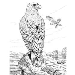 着色页: 鹰 (动物) #277 - 免费可打印着色页