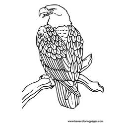 着色页: 鹰 (动物) #279 - 免费可打印着色页