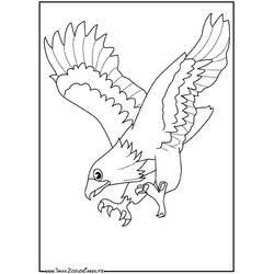 着色页: 鹰 (动物) #290 - 免费可打印着色页