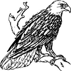着色页: 鹰 (动物) #292 - 免费可打印着色页