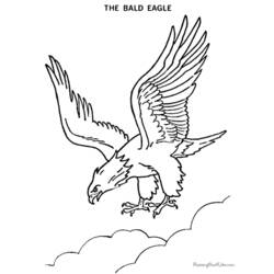 着色页: 鹰 (动物) #293 - 免费可打印着色页